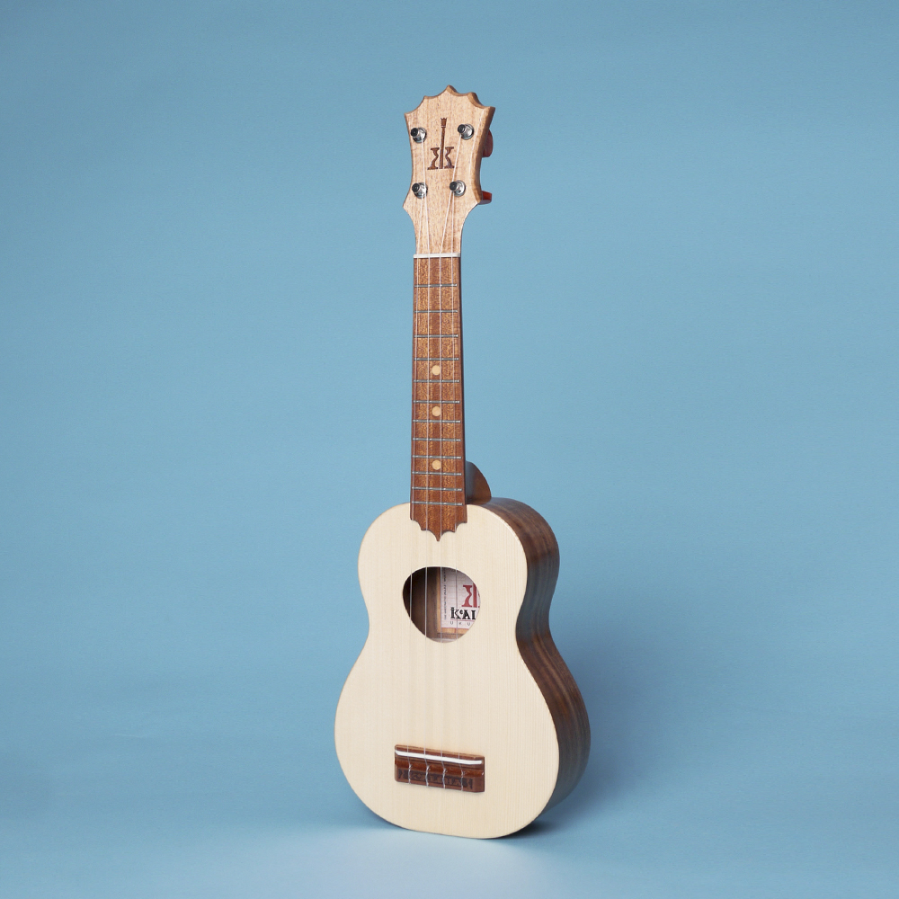 Baan Ukulele The Rebel The Shining Tenor Low G Strings